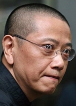 陈丹青 简历