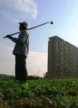 曹锦清：关于中国乡村建设的几个问题