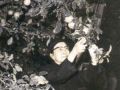 景山公园摘苹果：江青被捕前的最后留影