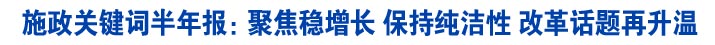 施政关键词半年报：聚焦稳增长 保持纯洁性 改革话题再升温