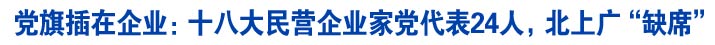 党旗插在企业：十八大民营企业家党代表24人，北上广“缺席”