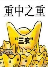 陈锡文：当前我国农村改革发展的形势