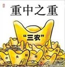 牧川：三农问题与国家前途