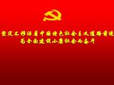 中国共产党第十八大次代表大会