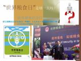 中国粮食安全