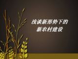 新形势下的新农村建设