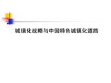城镇化战略与中国特色城镇化道路