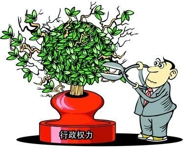 全能型政府