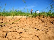 南方多地持续高温无雨 农作物受旱