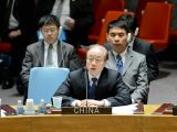 中国代表呼吁国际社会继续支持海地重建