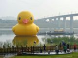 大黄鸭正式亮相园博园 开启京城之旅