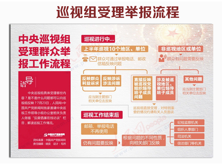 巡视受理流程