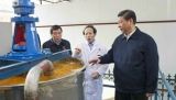 习近平到中南大学调研科技创新