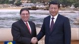习近平会见古巴外长、巴西副总统