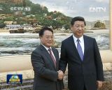 习近平会见联合国工业发展组织总干事