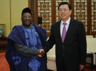 张德江会见尼日利亚人民民主党主席