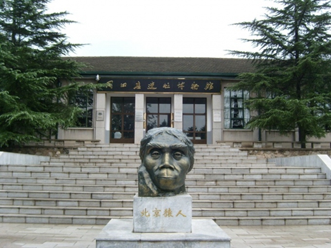 “北京人”的发现，为人类进化理论提供了有利实证