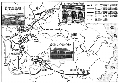 毛1204