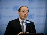 中国代表说中方坚定支持并积极参与销毁叙化武多边行动
