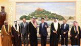 习近平会见海湾阿拉伯国家合作委员会代表团