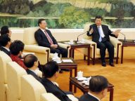 习近平同党外人士共迎新春