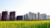 一、中国经济发展面临的新机遇