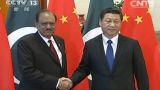 习近平同巴基斯坦总统举行会谈