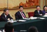习近平等参加代表团审议