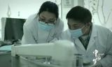 《中国梦——365个故事》之蓬蒿人