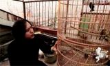 《中国梦——365个故事》之巡护队