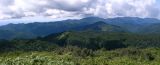 世界自然遗产—白神山地
