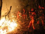 云南保山森林火灾已持续3天 过火面积约1200亩