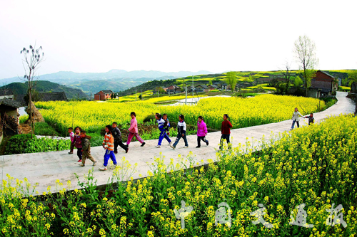 新华社播发长篇通讯《筑好康庄大道 共圆小康梦想——习近平总书记关心农村公路发展纪实》 