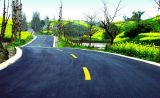 习近平总书记关心农村公路发展纪实