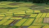 三、我国粮食生产受三方面约束