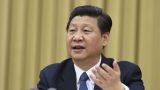 习近平：各民族要像石榴籽那样紧紧抱在一起