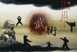 中华武功 第九集 内家拳功
