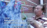 《中国梦——365个故事》之七彩叶