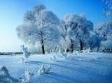 《中国冰雪记忆》 第三集 冰之舞（2）