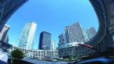 程恩富（三）：学习经济调节理论，正确理解市场调节作用