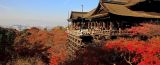 世界文化遗产——古京都遗址（京都、宇治和大津城）