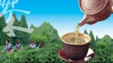 一、少数民族的特殊茶名和茶习俗
