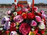 天安门广场中心“大花篮”摆放完毕