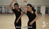 《中国梦——365个故事》之火凤凰