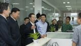 张高丽：更好地发挥中小企业在促进经济持续健康发展中的重要作用