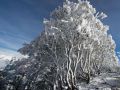冰雪夹金山