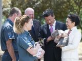 习近平和夫人彭丽媛在澳大利亚总督府参观