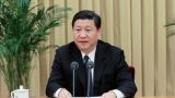 习近平：加快实施自由贸易区战略 加快构建开放型经济新体制