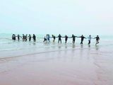 秦皇岛18名大学生手挽手海中救人
