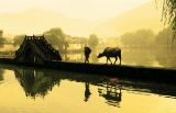 《再说长江》第24集 黄山无形